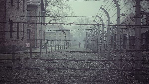They pulled out everyone's teeth. Shocking testimonies of Auschwitz survivors - The Second World War, The holocaust, Text, Longpost, Concentration camp, Horror, Negative