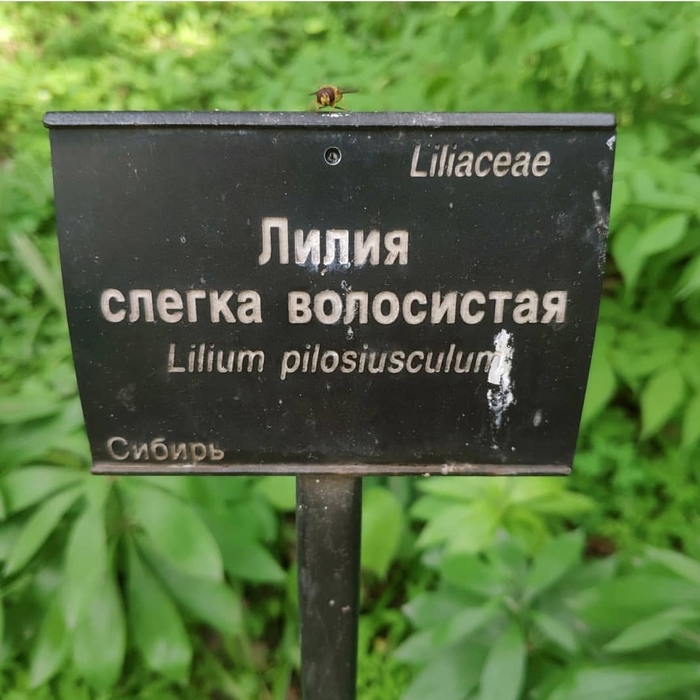 Похоже на запись из телефонной книги