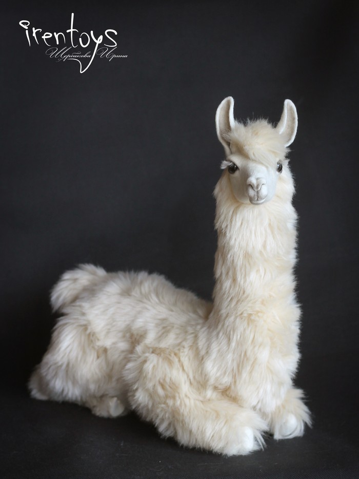 Lama [author's toy] - Longpost, , Realism, Handmade, Llama, Needlework, Needlework without process, My