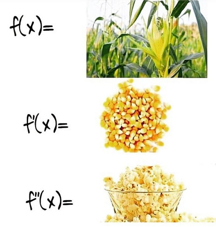 Corn - Corn, Popcorn, Mathematics, Derivative, Picture with text, In contact with