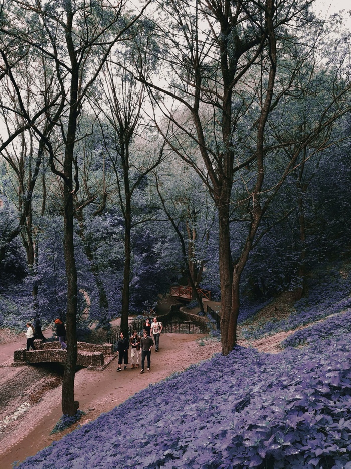 Парк Коломенское | Пикабу