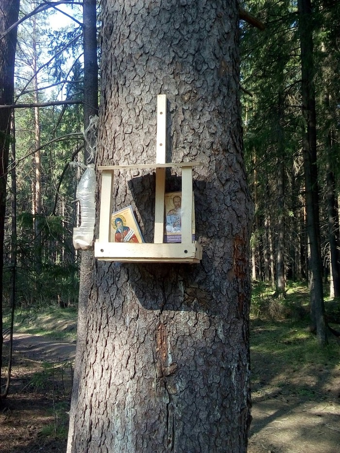 �� ������ ���������-����������