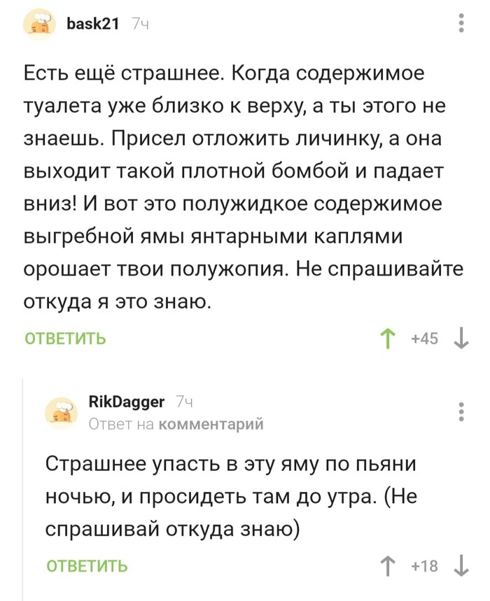 О деревенских туалетах) - Скриншот, Комментарии на Пикабу, Скжвлячнэ