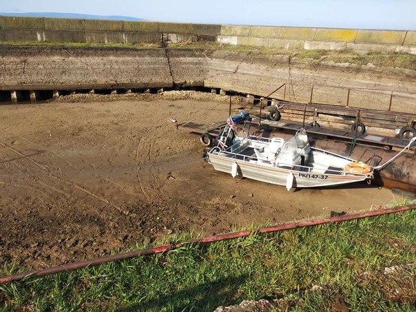 Trouble at the Kuibyshev reservoir! - Volga river, Water, Ecology, Longpost