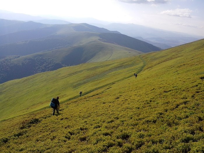 A bit of Carpathian beauty - My, Carpathians, The mountains, Nature, Longpost