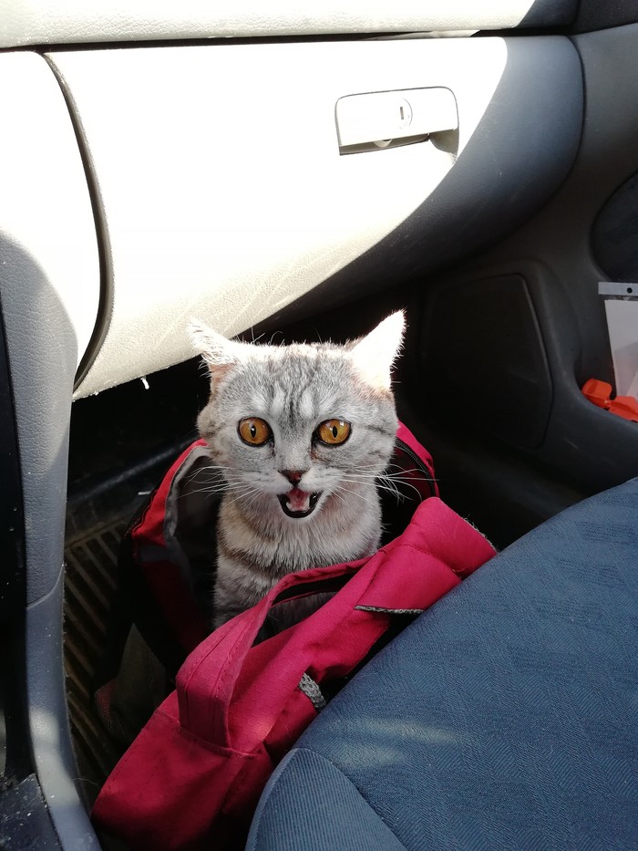 ���� �� �����