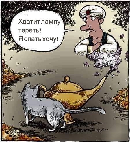 Не все любят котиков. - Кот, Джинн, Лампа