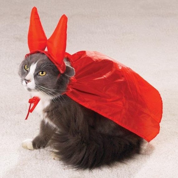 Diacot - cat, Costume, Devil