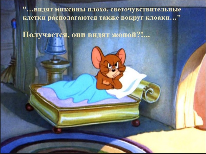 You read everything at night, then you can’t fall asleep ... - My, Mixins, Insomnia, Internet, Picture with text