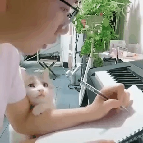 Это любовь!