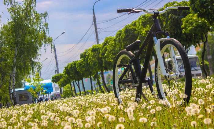 Summer is coming - A bike, My, Summer, The photo