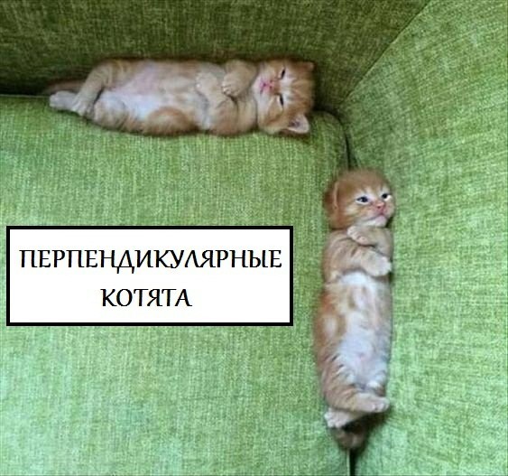 Как образуется котятковый угол
