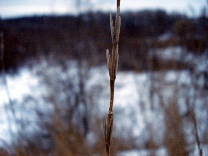 Winter - Snow, My, December, Winter, Longpost