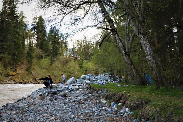 At the weekend in the village of Arkhyz KCHR - My, Arkhyz, , The photo, Nature, Caucasus, Family, Forest, Squirrel, Longpost