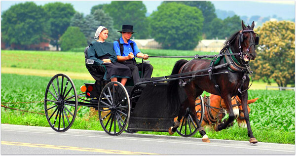 Amish - old inhabitants of the new world - My, Amish, Sect, Equator, People, Traditions, Religion, Video, Longpost