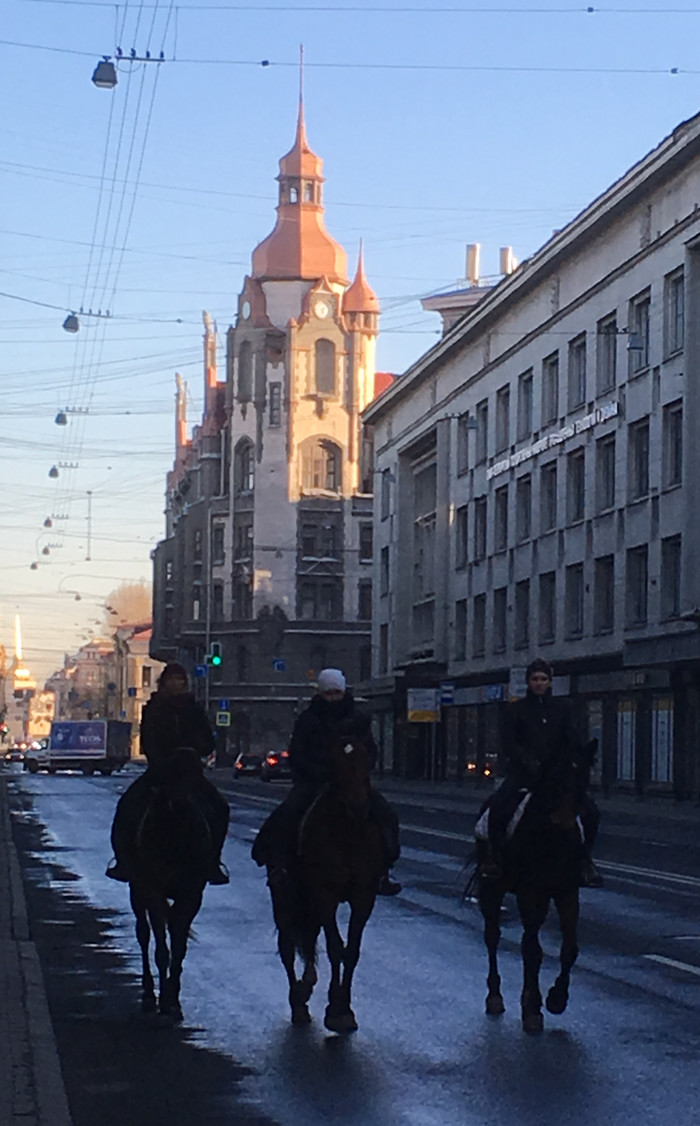 Питер - Моё, Вознесенский, Лошади, Санкт-Петербург