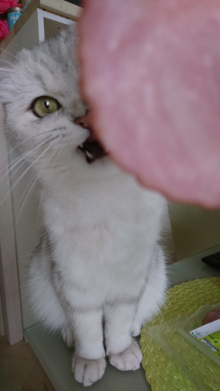   , , , 