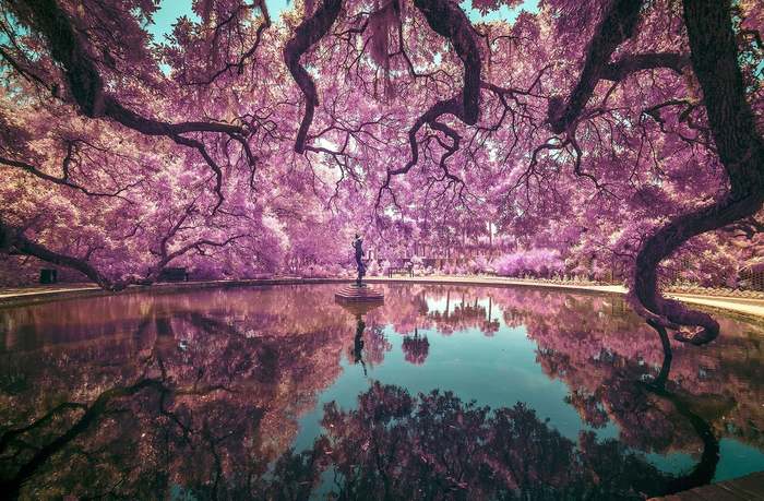 Brookgreen Gardens ( )