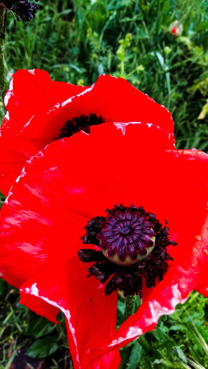 Красивая дождливая прогулка | Пикабу