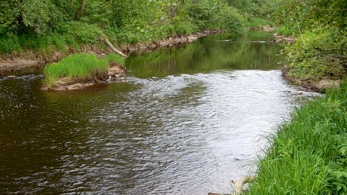 Fishing on the Black River. - My, Fishing, Pike, , Video, Longpost