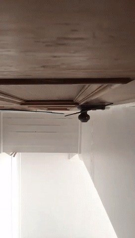 Хозяин, тебе делать нечего?