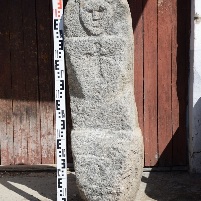 Archaeological sensation: ancient pagan idol found near Kharovsk - Archeology, Find, Vologodskaya Oblast, Longpost