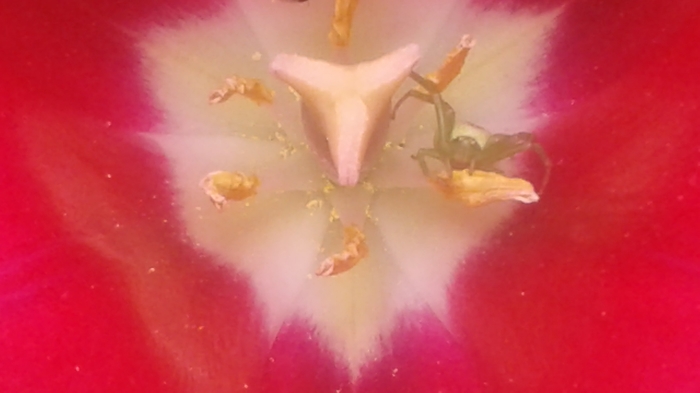   ,  ,  , , , , 