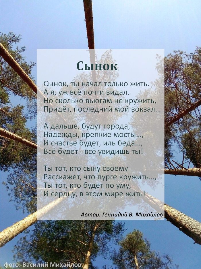 SON clings to the living. Written by a father for his son - Poems, Touching, Milota, Father, A son, Russian writers, A life, Saint Petersburg, Writers