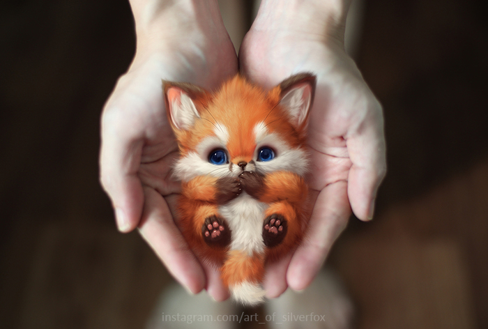 Milota in the hands - Silverfox5213, Art, Fox, Milota