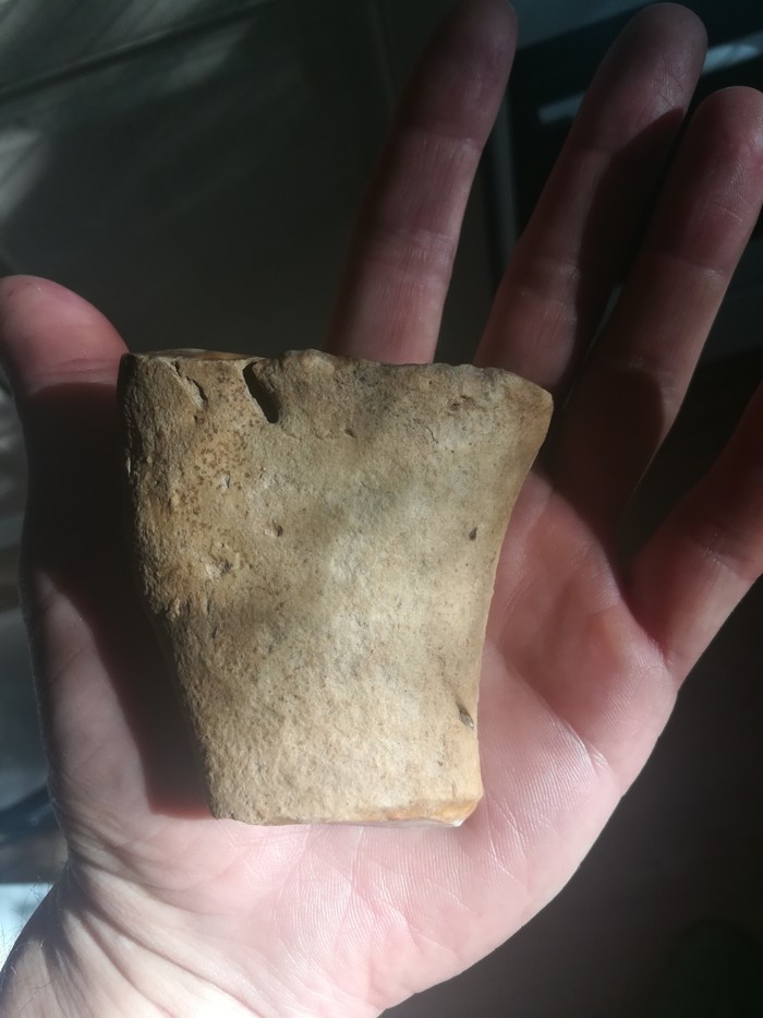 Tell me, experts, is it a tooth? - My, Fossils, Fangs, Paleontology, What's this?, Longpost