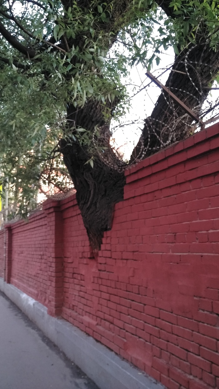 Опять текстуры