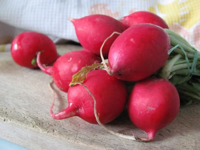 How to grow large radishes - My, Urine, Garden, Radish, Market, Evil grandmothers