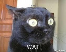 ��� ���� �����?