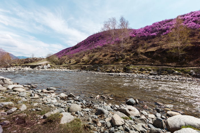 Altai in May - My, Altai, Mountain Altai, Nature, Landscape, beauty of nature, Russia, Spring, The mountains, Longpost, Altai Republic