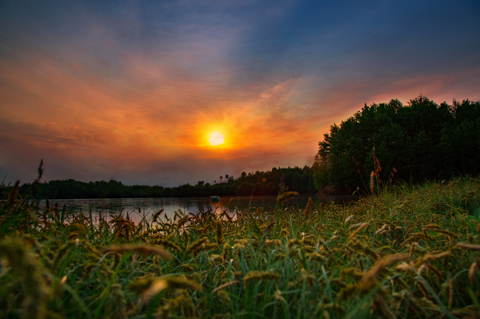 Primorye - My, Winter, Summer, Primorsky Krai, Nature, Fox, Sunset