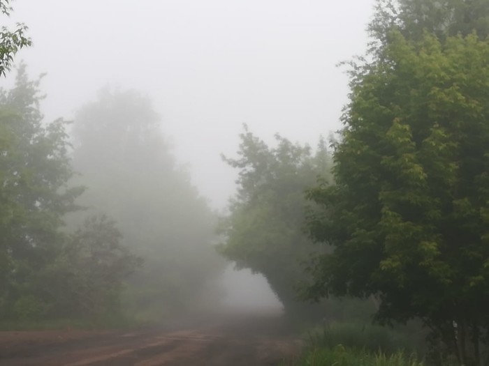 Fog - My, Fog, The photo