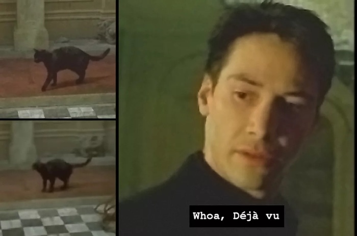   , , ,   , 