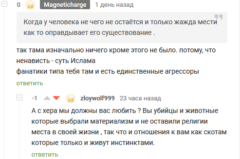 Islamic fanatic on pikabushechka - Intolerance, Fanatics, Islamists, Longpost, Negative