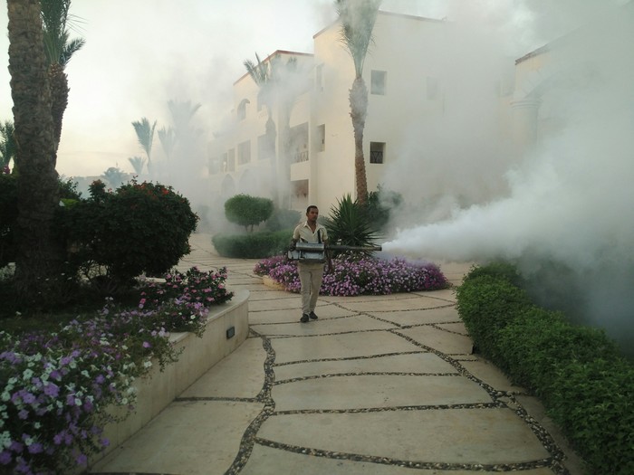 Portable smoke machine - My, Disinsection, Smoke generator, Egypt, Sharm El Sheikh