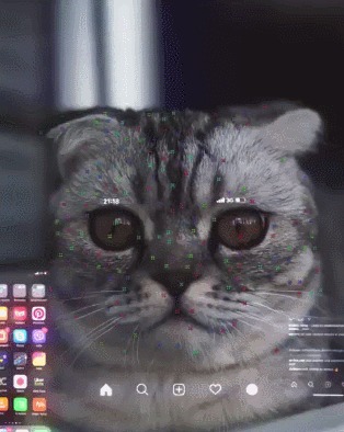 Киберкот 2077