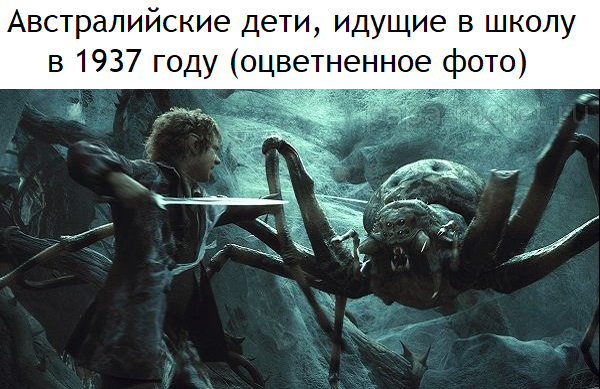 Если бы Бильбо учился в Австралии