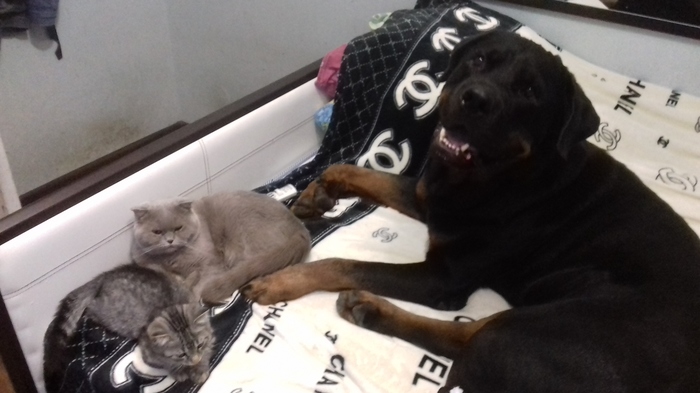 ��������� ���� :)