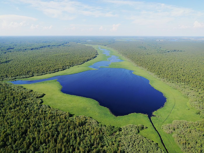 Lake Sominskoe - DJI Mavic, Drone, Quadcopter, Aerial photography, Lake, Landscape, Nature, Novgorod region
