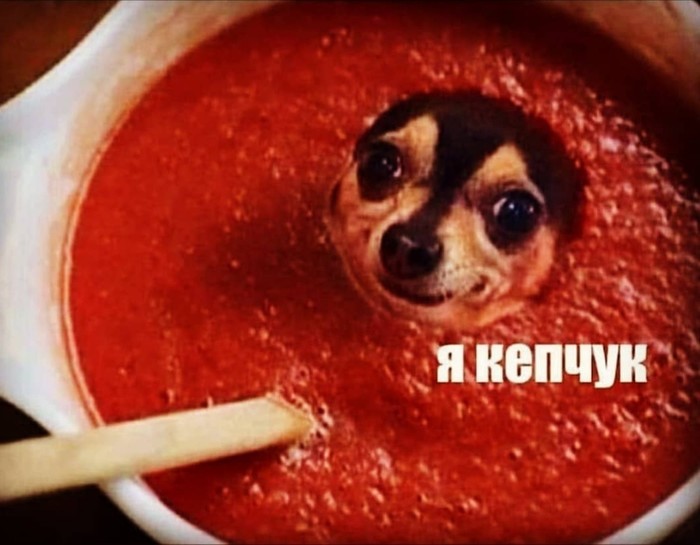 When is the important exam tomorrow? - My, Exam, Ketchup