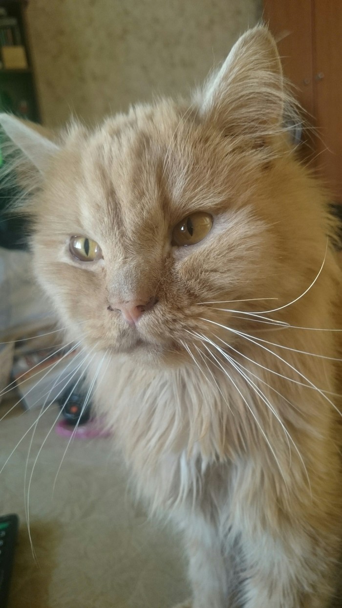 � ����� ˸��