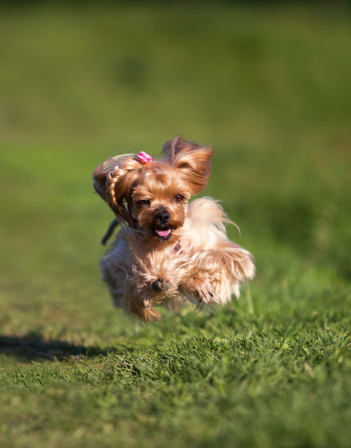 � ������