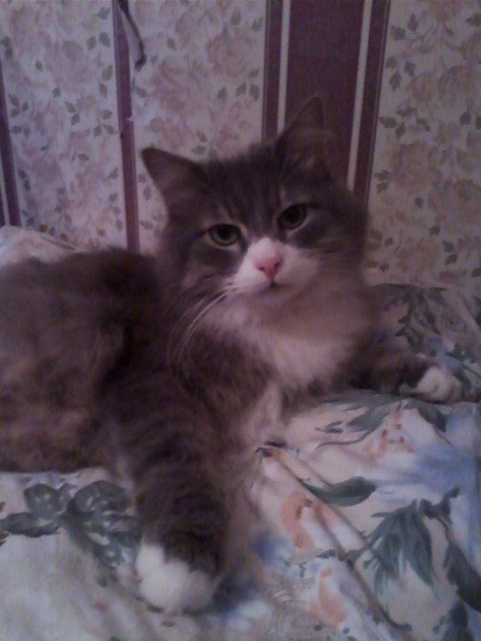 Мой ушедший друг...