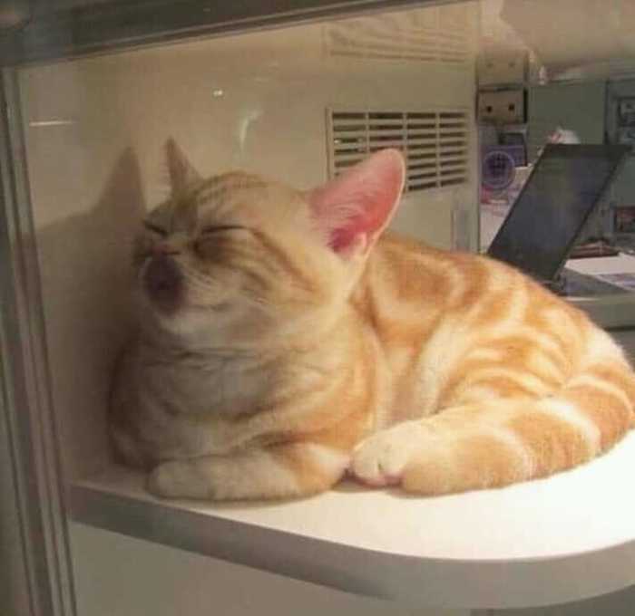 �� �������