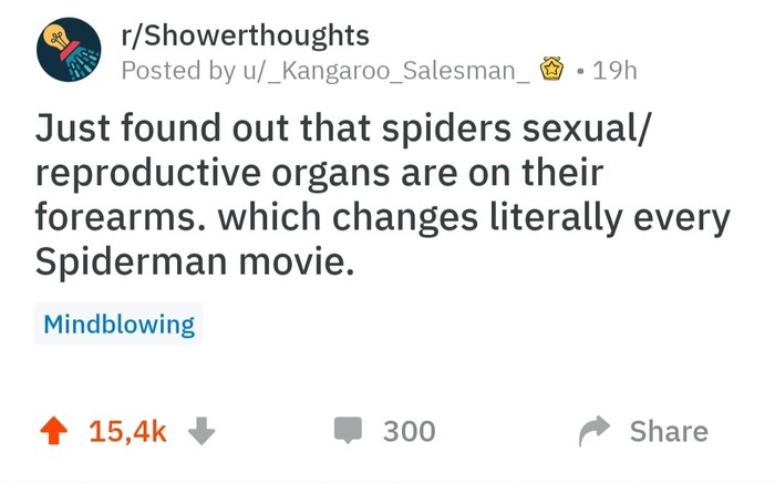 Spiderman's Secret - Spiderman, Reddit