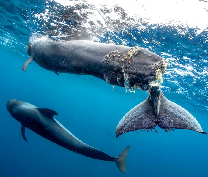 Последствия от встречи с людьми